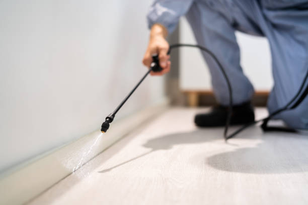 Licensed Rodent Control service in Windsor, VA - Nex Pest Control