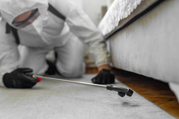 Professional Rodent Control technician working in Windsor, VA