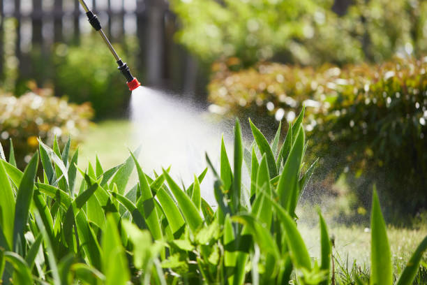 24/7 Emergency Rodent Control experts in Windsor, VA