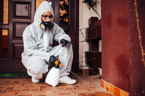 Reliable Rodent Control contractor in Windsor, VA by Nex Pest Control