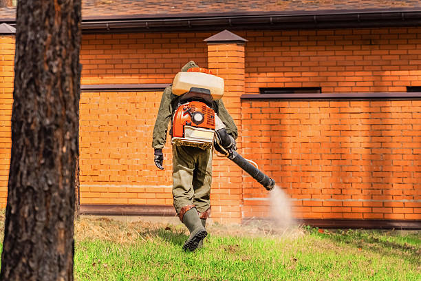 Top rated local Rodent Control specialists in Windsor, VA